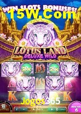 Casino Ao Vivo Jogos365